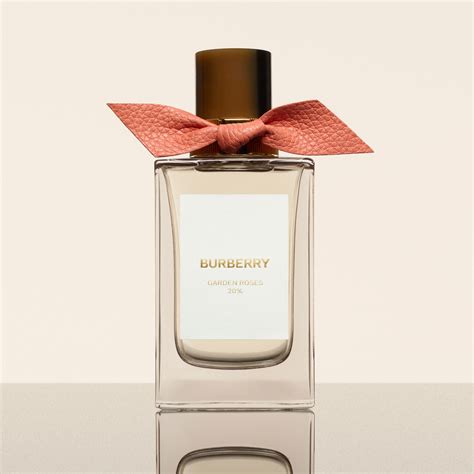 burberry perfume rose